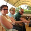 Planwagenfahrt 2008