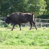 Sommerfahrt 2012