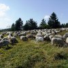 Sommerfahrt 2016