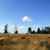 Sommerfahrt 2016