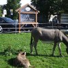 Sommerfahrt 2016