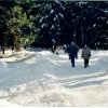 Winterwanderung » Winterwanderung 2003